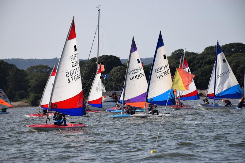 Topper open meeting at Starcross - photo © Peter Solly