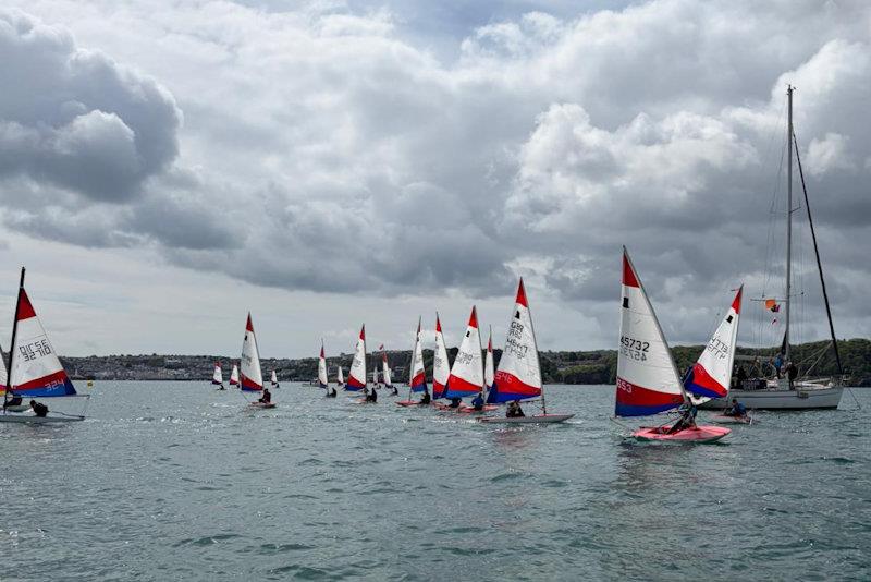 Topper Southwest Traveller at Brixham photo copyright Stuart Browning taken at Brixham Yacht Club and featuring the Topper class