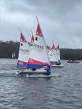 Rooster ITCA Southern Area Travellers at Spinnaker Sailing Club