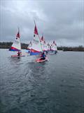 Rooster ITCA Southern Area Travellers at Spinnaker Sailing Club