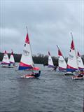 Rooster ITCA Southern Area Travellers at Spinnaker Sailing Club