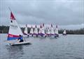 Rooster ITCA Southern Area Travellers at Spinnaker Sailing Club