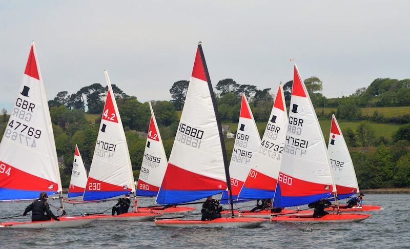 Topper SW Traveller Series at Saltash photo copyright James Mills taken at Saltash Sailing Club and featuring the Topper 4.2 class