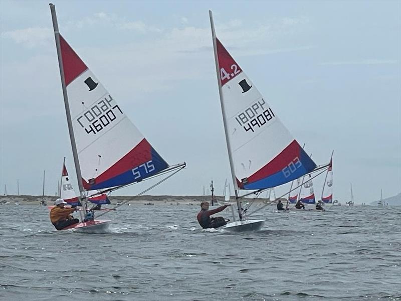 Rooster Southern Topper Traveller Series Event 5 at Bosham - photo © Kyle Wood