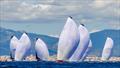 © Nico Martinez / 52 Super Series