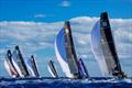 © Nico Martinez / 52 Super Series