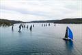 Virago out in front on day one of the final act of the 2026 Pallas Capital Gold Cup &copy; Nic Douglass for @sailorgirlHQ