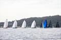 The line up of TP's at the 2026 Pallas Capital Gold Cup &copy; Nic Douglass for @sailorgirlHQ