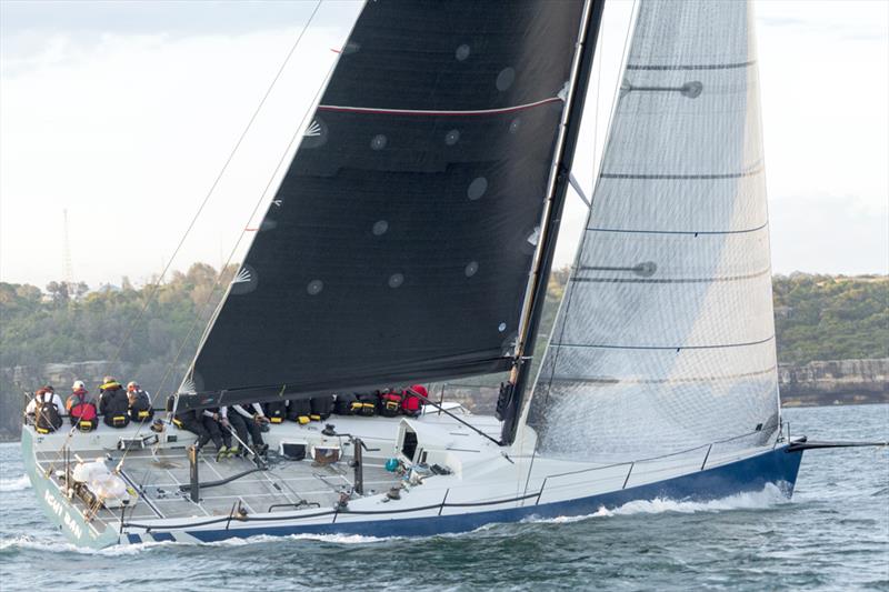 Ichi Ban the TP52 – second in 2015 and 2016 in CYCA's Bird Island Race photo copyright David Brogan / www.sailpix.com.au taken at Cruising Yacht Club of Australia and featuring the TP52 class