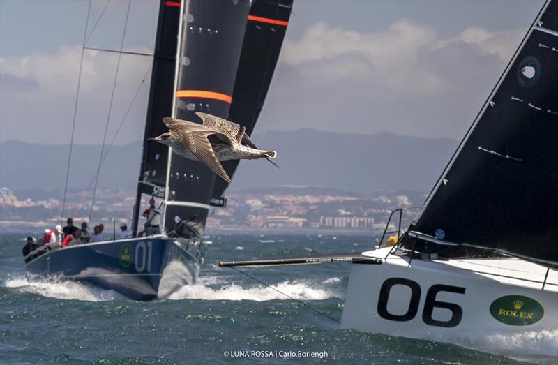 Final Day - 52 Super Series, Cascais Portugal photo copyright Carlo Borlenghi / Rolex taken at  and featuring the TP52 class