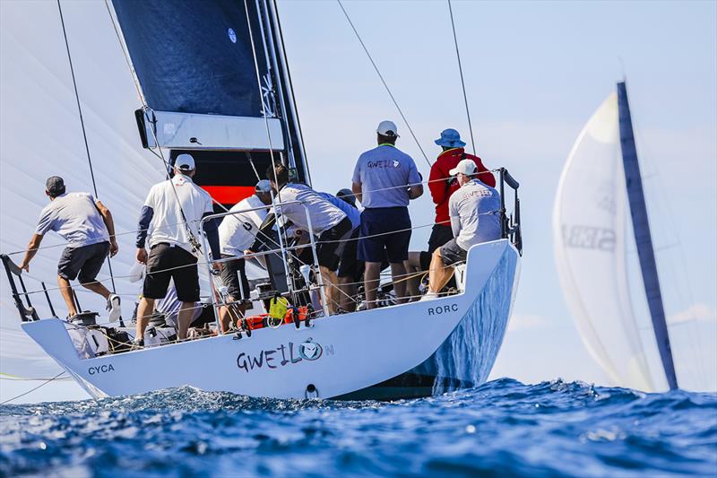 Gweilo - Sail Port Stephens photo copyright Salty Dingo taken at Royal Queensland Yacht Squadron and featuring the TP52 class