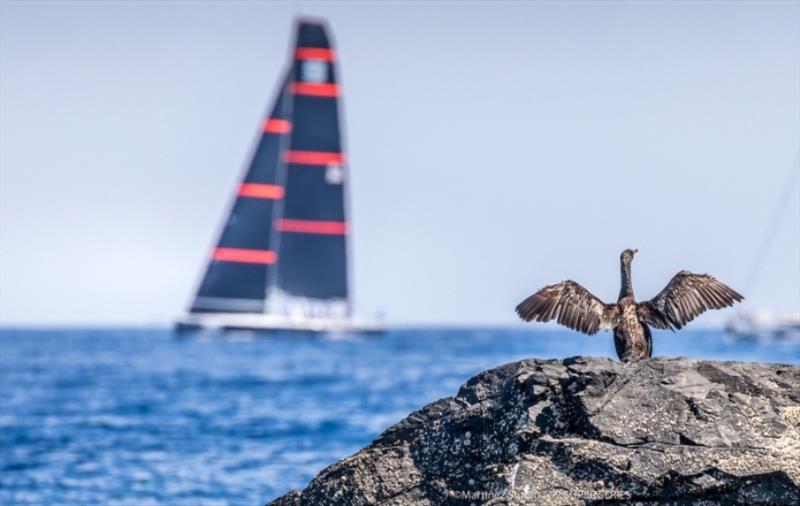 Menorca 52 Super Series Sailing Week © Nico Martinez / MartinezStudio