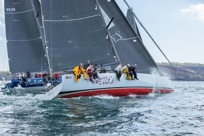 Gweilo during the 2020 Bird Island Race photo copyright CYCA / Hamish Hardy taken at Cruising Yacht Club of Australia and featuring the TP52 class
