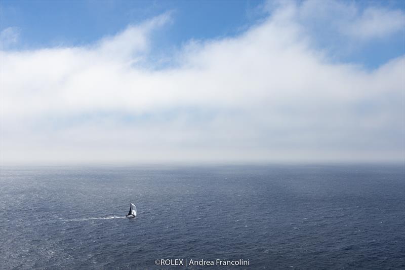 Overall Winner 2022 Sydney Hobart - A1, CELESTIAL, Sail No: 9535, Owner: Sam Haynes, Skipper: Sam Haynes, State: NSW, Design: TP52, LOA: 15,9 photo copyright Rolex / Andrea Francolini taken at Cruising Yacht Club of Australia and featuring the TP52 class