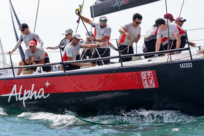 Team Alpha Plus in Hong Kong. TP52 Super Series next photo copyright Guy Nowell / RHKYC taken at Royal Hong Kong Yacht Club and featuring the TP52 class