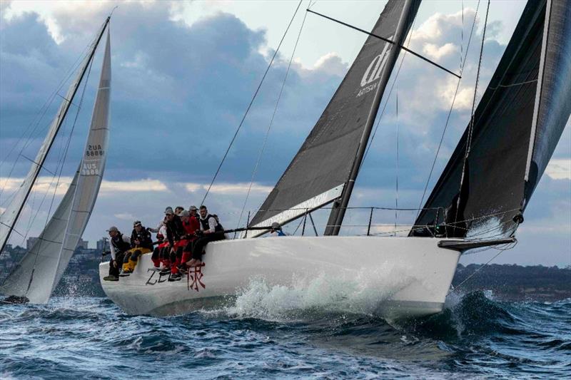 Zen, TP 52 (CCYC) - photo © Andrea Francolini