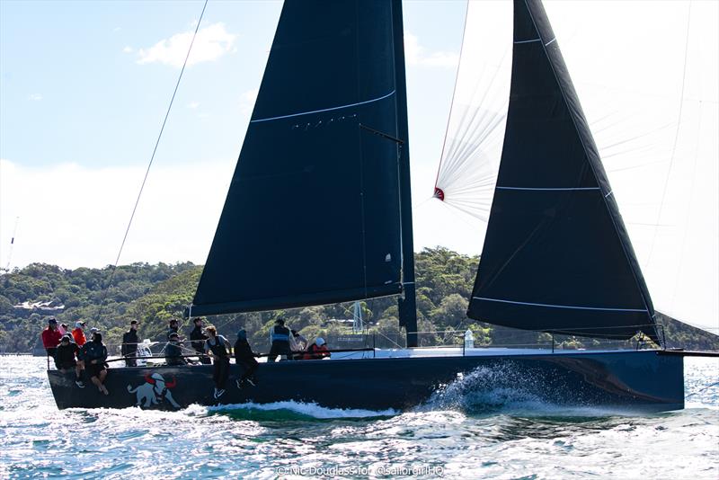 Pallas Capital Gold Cup Act 2 - Matador's momentum continues to build photo copyright Nic Douglass for @sailorgirlHQ taken at Cruising Yacht Club of Australia and featuring the TP52 class