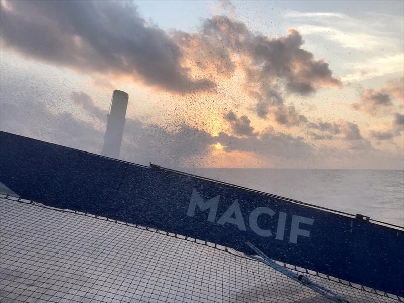 Macif - Brest Atlantiques 2019 photo copyright Jérémie Eloy /Macif taken at  and featuring the Trimaran class