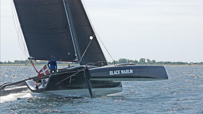 Black Marlin photo copyright Team Gaebler taken at  and featuring the Trimaran class