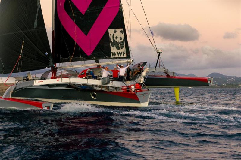 The latest multihull to finish - Maxi Multihull Ultim'emotion 2 (FRA) - RORC Transatlantic Race photo copyright Arthur Daniel / RORC taken at Royal Ocean Racing Club and featuring the Trimaran class