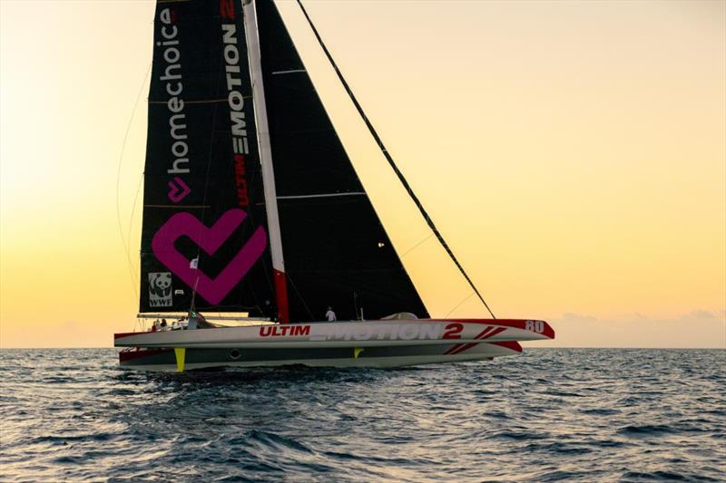 Antoine Rabaste's Maxi Multihull Ultim'emotion 2 (FRA) screamed into Grenada at a speed of over 26 knots just before sunset on Sunday 16th January - RORC Transatlantic Race photo copyright Arthur Daniel / RORC taken at Royal Ocean Racing Club and featuring the Trimaran class