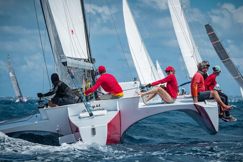 trimaran regatta