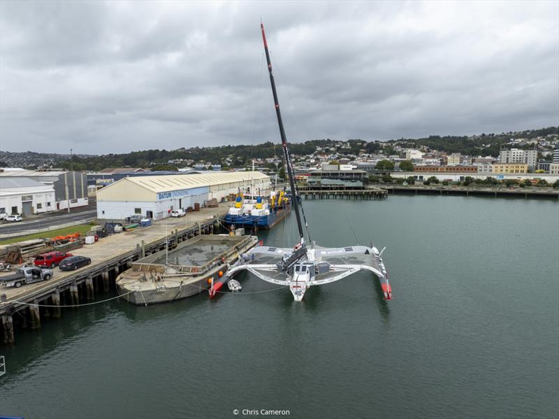 Arkea Ultim Challenge - Brest : Anthony Marchand leaves Dunedin, New Zealand photo copyright Chris Cameron taken at  and featuring the Trimaran class