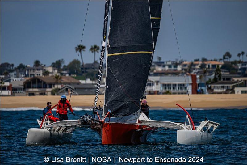 newport to ensenada sailboat race