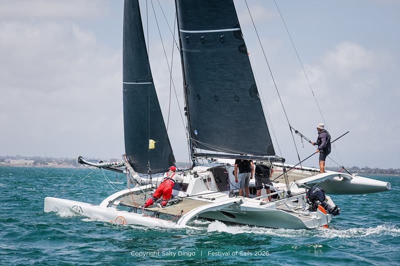 Festival of Sails photo copyright Salty Dingo taken at Royal Geelong Yacht Club and featuring the Trimaran class