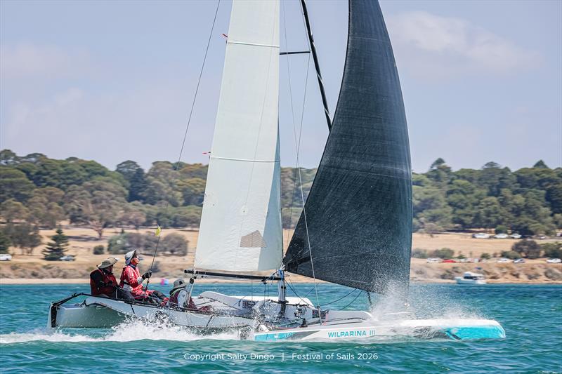 Festival of Sails photo copyright Salty Dingo taken at Royal Geelong Yacht Club and featuring the Trimaran class