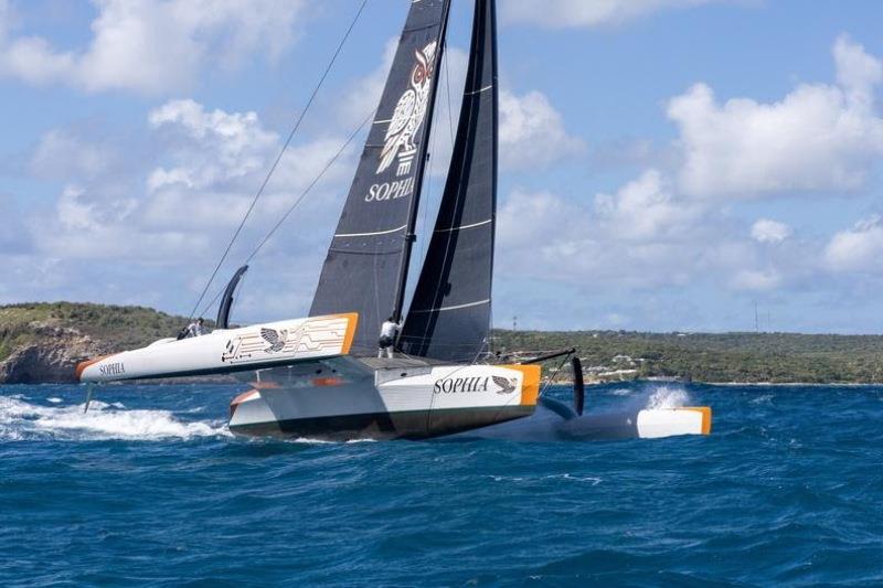 Nigel Irens-designed 63-foot trimaran Sophia - photo © Tim Wright / Photoaction.com