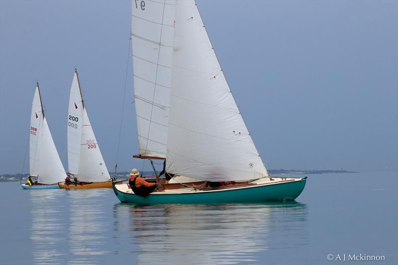 Yvonne leading Dingo and Snow Goose in the light winds during the first race of the regatta - photo © A.J. McKinnon