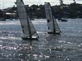 LCC plus T&C - 12ft Skiff Upper Harbour Championship © Brett Hobson