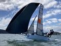 Sail Inc - 12ft Skiff Upper Harbour Championship © Brett Hobson