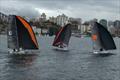 Sydney Sailmakers, Red Energy and Sail Inc during the 12ft Skiff 2024 NSW Sprint Championship on Sydney Harbour © Grant Casey