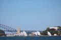 The Interdominion Championship will be on Sydney Harbour in January 
