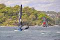 Geotherm and Sail Inc. (orange patch) - 2026 triSearch 12ft Skiff Interdominion Championship on Sydney Harbour