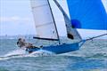 Monkey Wrench was fourth and best placed Kiwi today - 2026 triSearch 12ft Skiff Interdominion Championship on Sydney Harbour