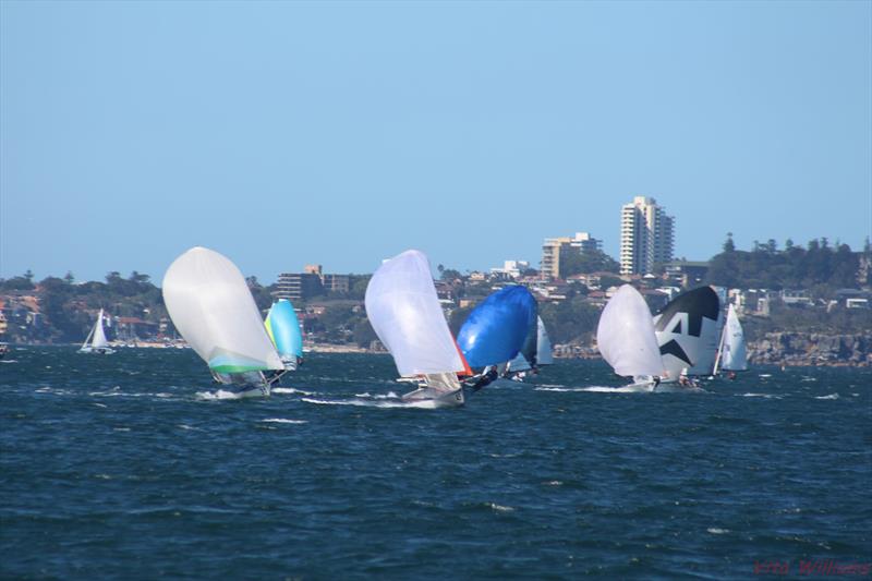 Close company on a spinnaker run on day 5 at the 12ft Skiff Interdominions photo copyright Vita Williams taken at Australian 18 Footers League and featuring the 12ft Skiff class