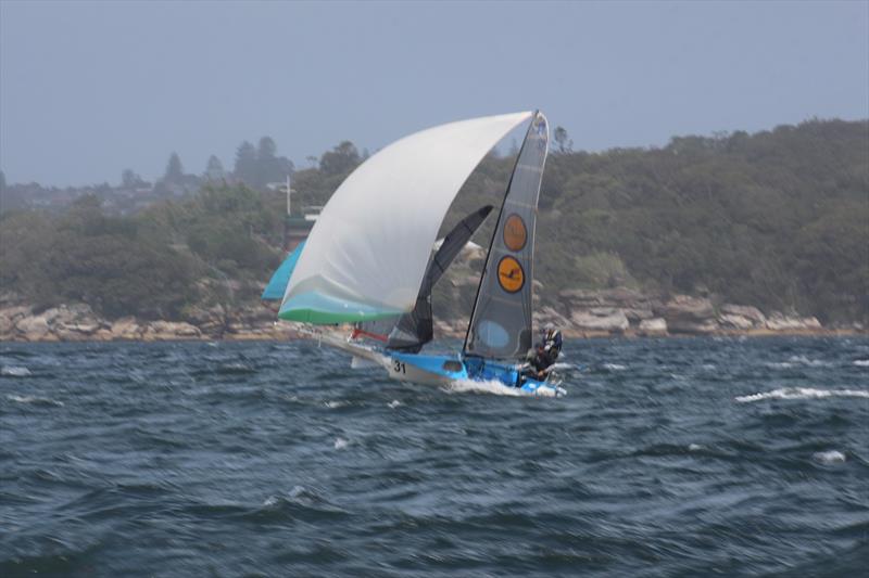 The Bird flying - 12ft Skiff Interdominion - photo © Vita Williams