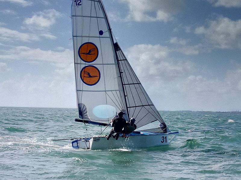 The Bird - 2019 Australian 12ft Skiff Championships photo copyright Beryll Roberts taken at Royal Queensland Yacht Squadron and featuring the 12ft Skiff class