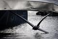 &copy; Vincent Olivaud / Route du Rhum / FACTSTORY)