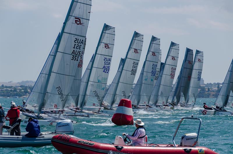 Startline on day 2 of the Viper Worlds at Geelong photo copyright Tiff Rietman taken at Royal Geelong Yacht Club and featuring the Viper class