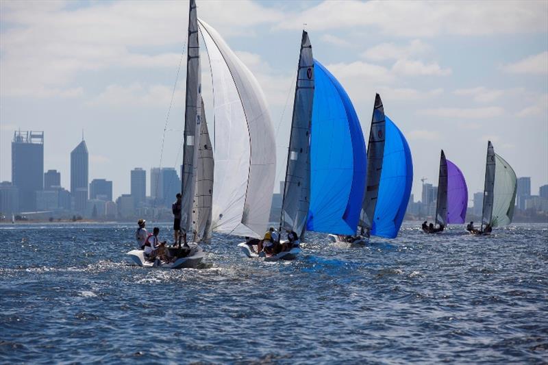 Vipers play follow-the-leader as they sail towards Perth City in light conditions photo copyright Bernie Kaaks taken at South of Perth Yacht Club and featuring the Viper 640 class