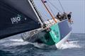 Nextgen by Jajo achieves line honours in ARC 2025