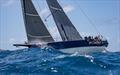 Pyewacket 70 - 2023 Les Voiles de St Barth Richard Mille - Leeward Islands, April 17, 2023 © Sharon Green / ultimatesailing.com