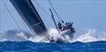 Pyewacket 70 - 2023 Les Voiles de St Barth Richard Mille - Leeward Islands, April 17, 2023 © Sharon Green / ultimatesailing.com