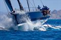 Pyewacket 70 - 2023 Les Voiles de St Barth Richard Mille - Leeward Islands, April 17, 2023 © Sharon Green / ultimatesailing.com