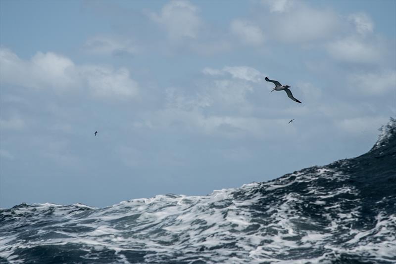 Leg 3, Cape Town to Melbourne, day 6, on board AkzoNobel photo copyright James Blake / Volvo Ocean Race taken at  and featuring the Volvo One-Design class