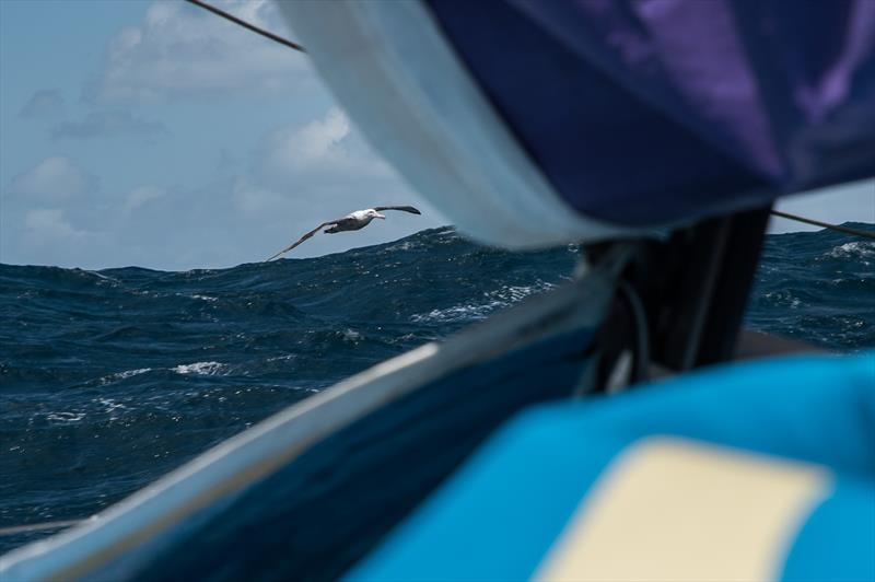 Leg 3, Cape Town to Melbourne, day 6, on board AkzoNobel photo copyright James Blake / Volvo Ocean Race taken at  and featuring the Volvo One-Design class